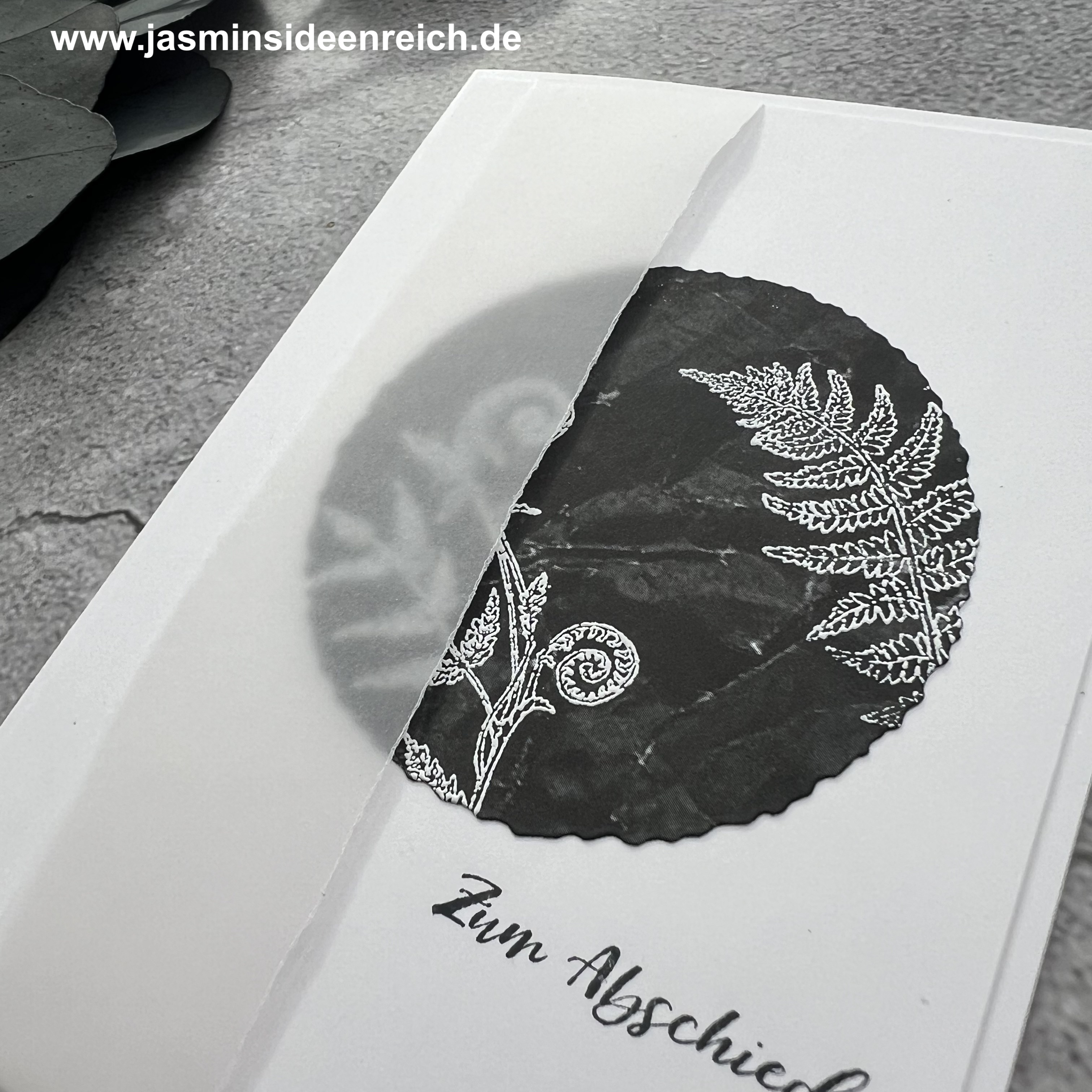 03.02.24 - Karte Kreis 2.jpeg